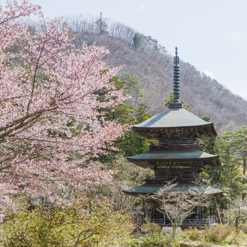 高畠町　安久津八幡神社